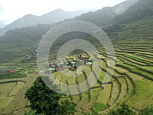 Batad rice terrace in Banaue, Ifugao, Philippines