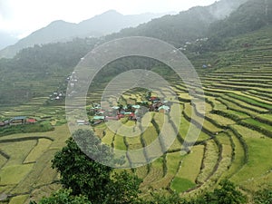 Batad rice terrace in Banaue, Ifugao, Philippines