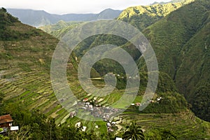 Batad rice terraces