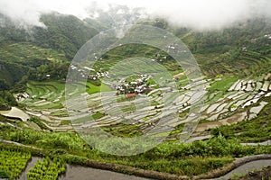 Batad rice terraces