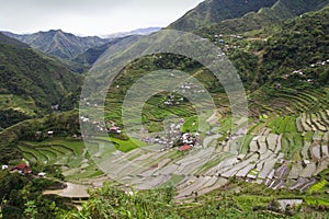 Batad rice terraces