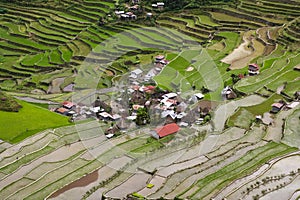 Batad rice terraces