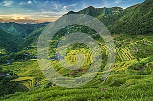 Batad Rice Terraces