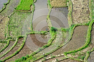 Batad Rice terraces, Banaue, Ifugao, Philippines