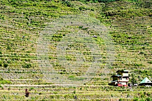 Batad Rice terraces, Banaue, Ifugao, Philippines