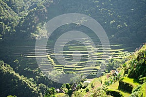 Batad Rice terraces, Banaue, Ifugao, Philippines