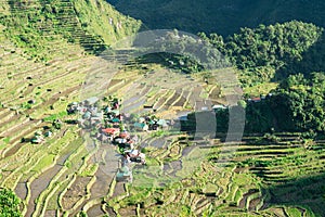 Batad Rice terraces, Banaue, Ifugao, Philippines