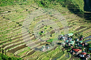 Batad Rice terraces, Banaue, Ifugao, Philippines