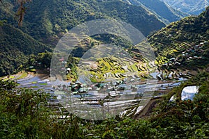 Batad Rice Terraces in Cordilleras of Northern Philippines photo