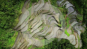 Batad Rice Terraces in Ifugao Philippines