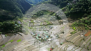 Batad Rice Terraces in Philippines