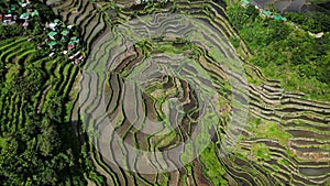 Batad Rice Terraces in Philippines