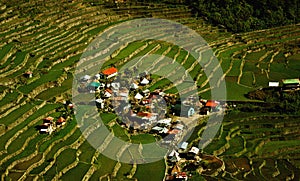 Batad rice terraces