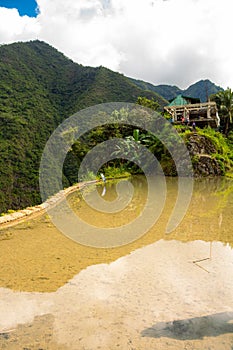 Batad Rice Terraces, UNESCO world heritage in Ifugao, Luzon Island