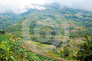 Batad Rice Terraces, UNESCO world heritage in Ifugao, Luzon Island