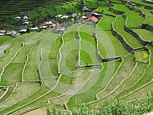Batad village