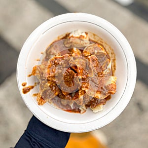 Batagor, made from fish or chicken dumpling, tofu served with peanut sauce. Indonesian food photo