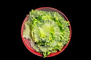 Batavia, beautiful fresh salad, in a big red salad bowl, on black background