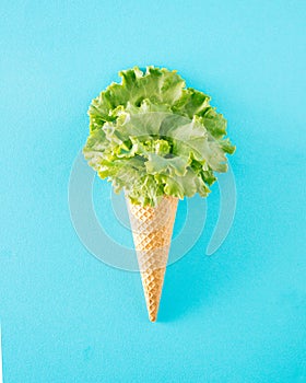 Batavia lettuce in an ice cream cone. Spring concept on a blue background