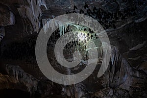 A batcave at the Kilim Karst Geoforest Park in Langkawi, Malaysia.