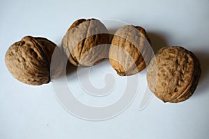 Batch of four ripe brown rounded fruits of Persian walnut