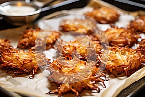 a batch of fried latkes draining on paper towels