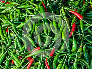 Red and Green Chili Peppers photo