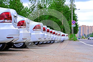 A batch of new white cars. Parking in a row. Registration in the traffic police