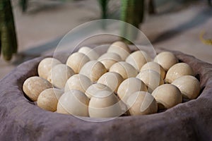 Batch of recreated fossil dinosaur eggs in a pit photo