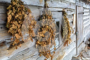 Bath besoms hanging on the wall of Vidzeme bathhouse with dwelling house under snow