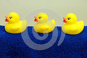 Bath ducks