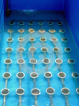 Bath for oxidation treatment of waste water