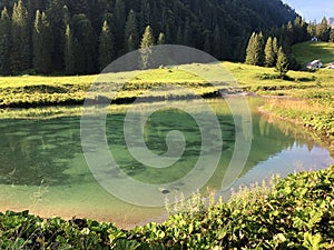 Bath and pool on the Sulzbach Alpine stream and in the Oberseetal valley, Nafels Naefels photo