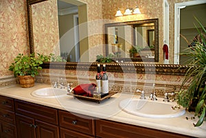 Bath Room Vanity