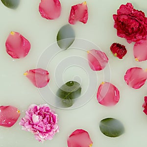 Bath with rose petal background. Flat lay with flower petal and green leaf. Abstract spa with milk and flower. Creative wellness