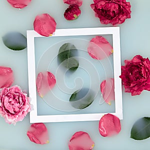 Bath with rose petal background. Flatlay with flower petal and green leaf. Creative wellness layout with white frame