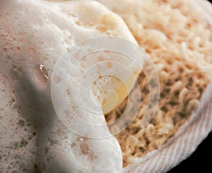 Bath soapy sponge on white background