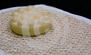 Bath soapy sponge on white background