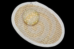 Bath soapy sponge on white background