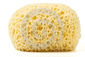 Bath sponge photo