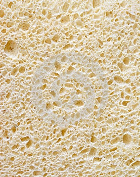 Bath Sponge Texture