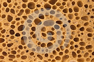 Bath sponge texture for background