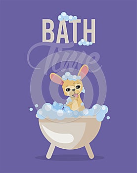 Bath time of chihuahua dog cartoon