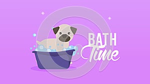 bath time lettering animation with pug in bathtub