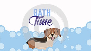 bath time lettering with dog in bathtub animation