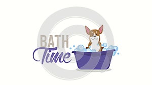 bath time lettering with little dog in tub animation