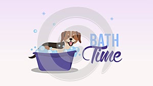 bath time lettering with pet in bathtub