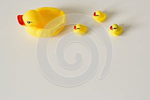 Bath toy row of yellow ducks on white background