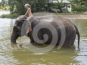 Bathing with an elephant