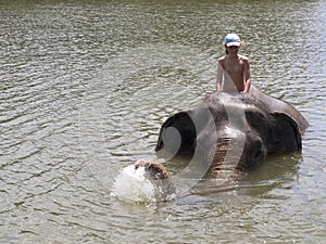 Bathing with an elephant
